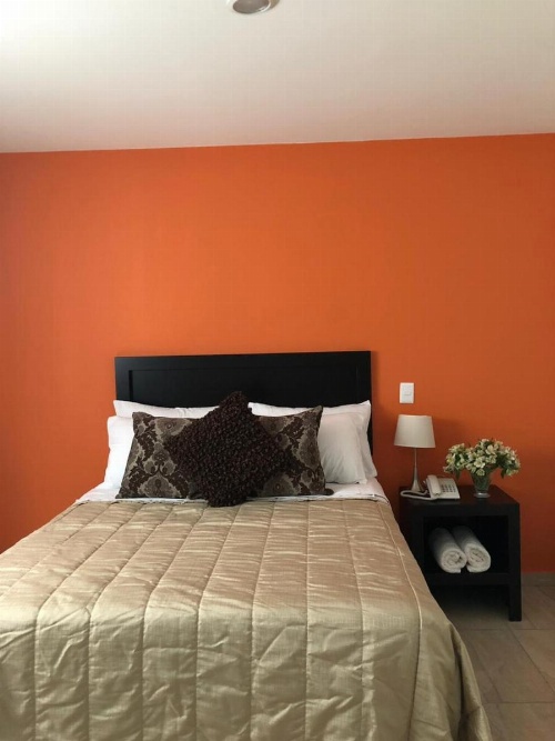 ZAMORA EJECUTIVO EXPRESS image 8